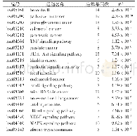 表2 KEGG通路富集分析表