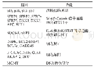 表2 MM患者中启动子超甲基化的抑癌基因[17]