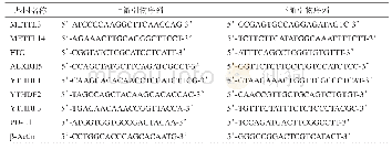 表2 q PCR所用引物序列