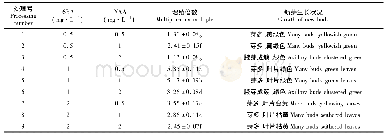 《表5 不同激素配比对狭叶黄芩芽增殖的影响》