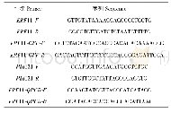 表1 实验引物设计：杨树ERF11转录因子基因应答渗透胁迫表达分析