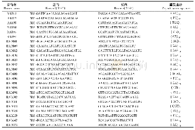 表2 开发用于微卫星多态性筛选的引物序列信息