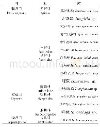 表1 黄槐决明访花昆虫种类