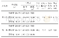 表4 WLH-001井储层压裂施工情况表