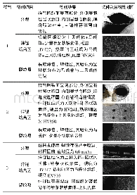 《表1 断裂钻杆残骸及未使用钻杆检测情况》