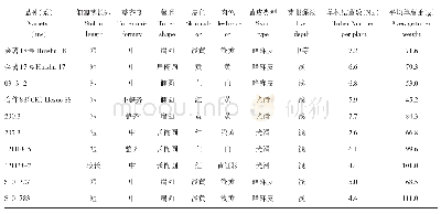 表3 块茎性状：大理州大春马铃薯品种比较试验