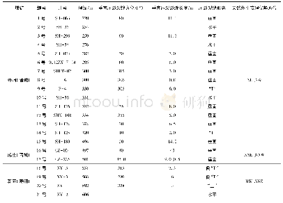 表2 煤层气井压裂支撑裂缝井下观测参数