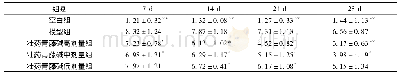 表1 类风湿关节炎模型大鼠关节指数的变化情况