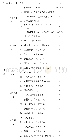 表2 乡村振兴综合绩效评价体系