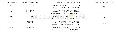 《表1 荧光定量PCR扩增的引物》