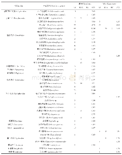 表1 干细洞和拉梭洞内动物的种类（类群）组成及相对数量