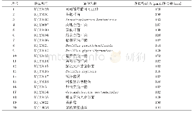 表2 高产脂肪酶菌株筛选结果