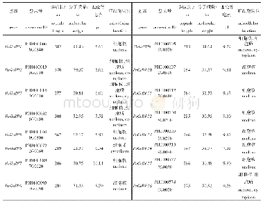 表2 PeGeBPs基因编码蛋白质序列基本特征及亚细胞定位