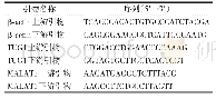 《表2 PCR引物序列：长链非编码RNA TUG1/MALAT1在2型糖尿病患者外周血单个核细胞中的表达》