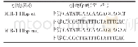 表1 设计鉴定野生型和突变体的引物