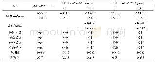 表9 影响机制三：缓解融资约束