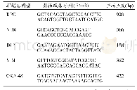 表1 碳青霉烯酶基因PCR引物序列