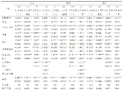 表3 以人力资本为中介变量的回归结果