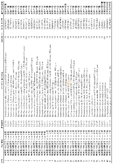 《表1分离保存菌株的革兰染色结果和16Sr DA N鉴定结果》