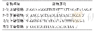 表1 隐孢子虫18S rDNA套式PCR鉴定引物信息