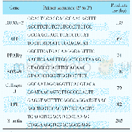 表1 实时定量PCR引物序列