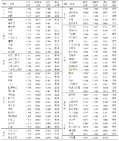 表5 2 0 1 7 年“一带一路”沿线国家农业生产效率具体评价结果