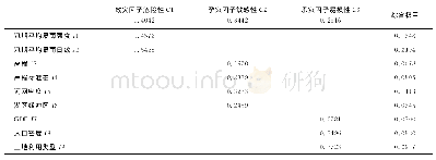 《表3 洪水灾害风险区划指标权重计算结果》