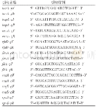 表1 引物序列：SurA通过调控鞭毛表达影响伤寒沙门菌生物膜的形成