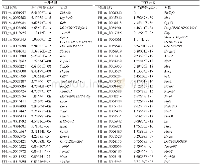 表1 NAFLD组vs NC组差异表达基因中上调和下调的前30个差异基因表达聚类分析