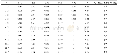 表2 隶属度及综合评价结果