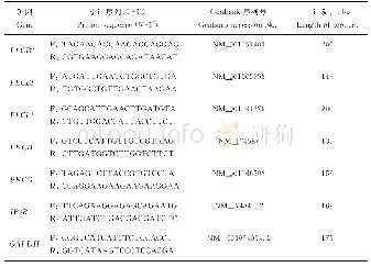 表1 荧光定量PCR引物