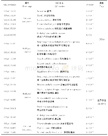 表4 差异表达基因和circRNA最显著富集的GO条目