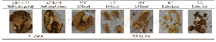 表7 破壳后核桃壳仁混合物料等级及形态特征[86]