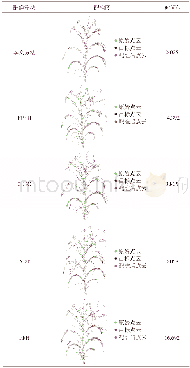 表2 点云配准结果及配准用时