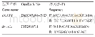 《表1 qRT-PCR引物信息》