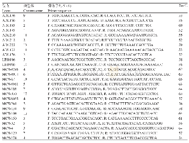 《表2 26个STR位点PCR扩增引物》