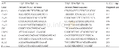 表2 qRT-PCR鉴定所需基因引物及片段大小