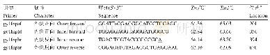 表1 gy1fnp分子标记引物信息