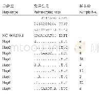 表3 所有样本线粒体Cytb基因多态位点信息