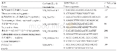 《表1 q RT-PCR引物序列》