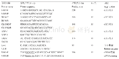 表1 引物序列信息：NONHSAT184603.1基因对解旋酶基因BLM表达的影响