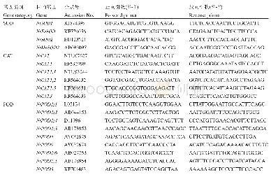 表1 特异性扩增Nt SOD、Nt CAT和Nt POD家族基因引物