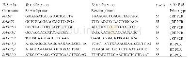 表1 内参基因与特异性基因引物