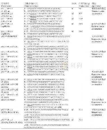 《表1 引物信息：鸡Prox1蛋白核定位信号的预测与鉴定》