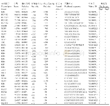 表3 BSP启动子转录因子结合位点预测