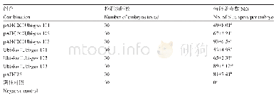 表2 表达盒及完整质粒轰击3 d后gus基因在小麦幼胚的瞬时表达