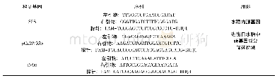 表1 影响因素的筛选：基于实时荧光PCR技术检测水稻转基因成分