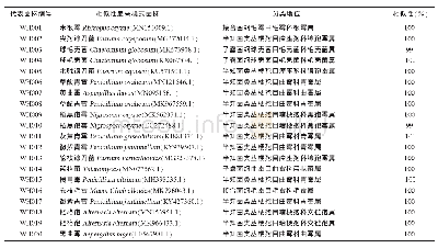 表4 小麦分离纯化代表真菌类群