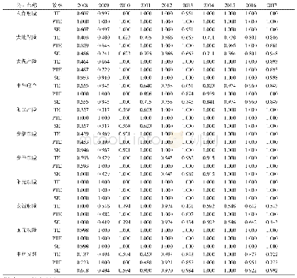 表2 保险公司经营效率值