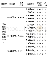 表3 指标体系及其权重排序